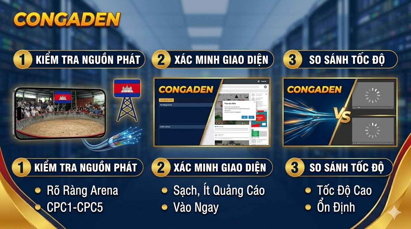 đá gà trực tiếp - congaden