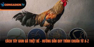 cách tẩy giun gà
