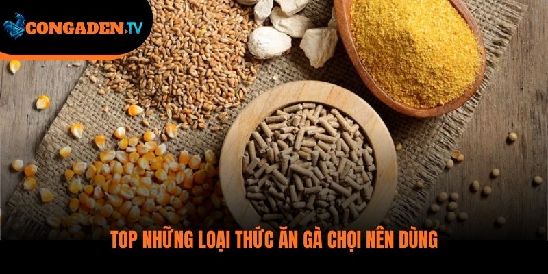 thức ăn gà đá