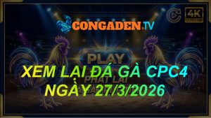XEM LẠI ĐÁ GÀ CPC4 NGÀY 27/3/26