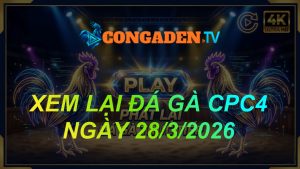 XEM LẠI ĐÁ GÀ CPC4 NGÀY 28/3/26