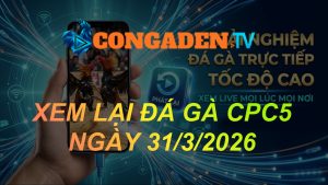 XEM LẠI ĐÁ GÀ CPC5 NGÀY 31/3/26