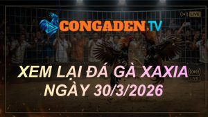 XEM LẠI ĐÁ GÀ XAXIA NGÀY 30/3/26