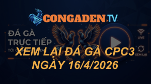 XEM LẠI ĐÁ GÀ CPC3 NGÀY 16/4/26