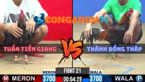 Trận 21 CPC2 Ngày 25/4/2026