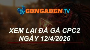 XEM LẠI ĐÁ GÀ CPC2 NGÀY 12/4/26