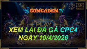 XEM LẠI ĐÁ GÀ CPC4 NGÀY 10/4/26