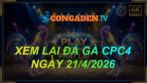XEM LẠI ĐÁ GÀ CPC4 NGÀY 21/4/26