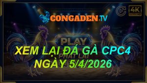 XEM LẠI ĐÁ GÀ CPC4 NGÀY 5/4/26