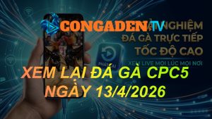 XEM LẠI ĐÁ GÀ CPC5 NGÀY 13/4/26